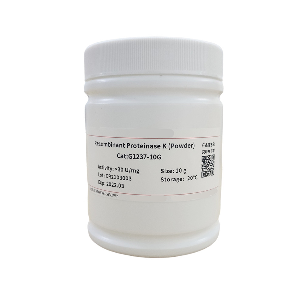 Recombinant Proteinase K (Powder)