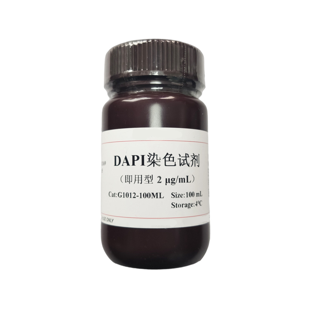 DAPI染色试剂（即用型）