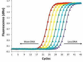 万物生物 - 实时荧光定量PCR